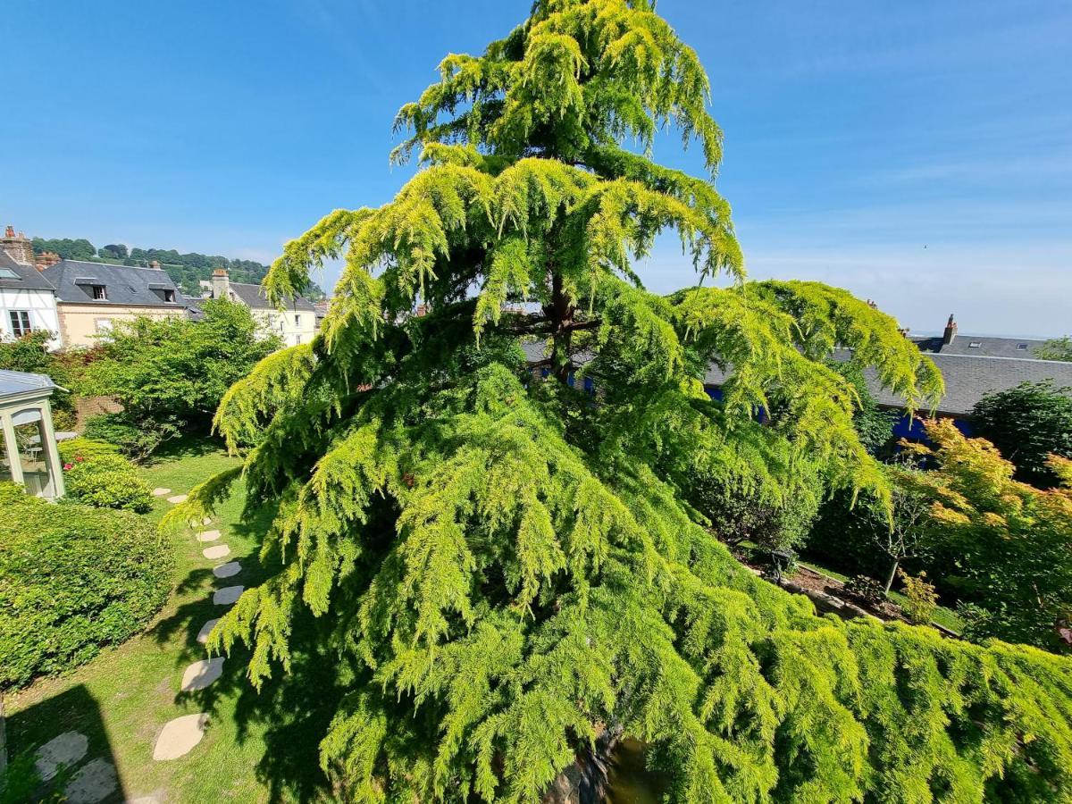 Maison Saint Leonard 옹플뢰르 외부 사진